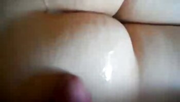 هالی شیلدز برای یک مشکی عکس کون روغنی بزرگ وحشی می شود